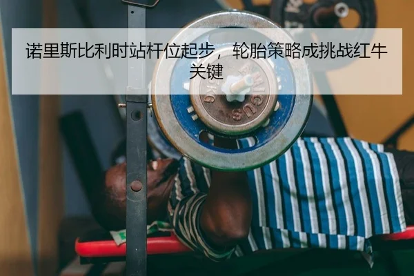 诺里斯比利时站杆位起步，轮胎策略成挑战红牛关键